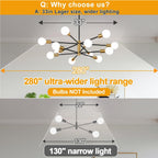 12-Light Black & Brushed Gold Sputnik Chandelier